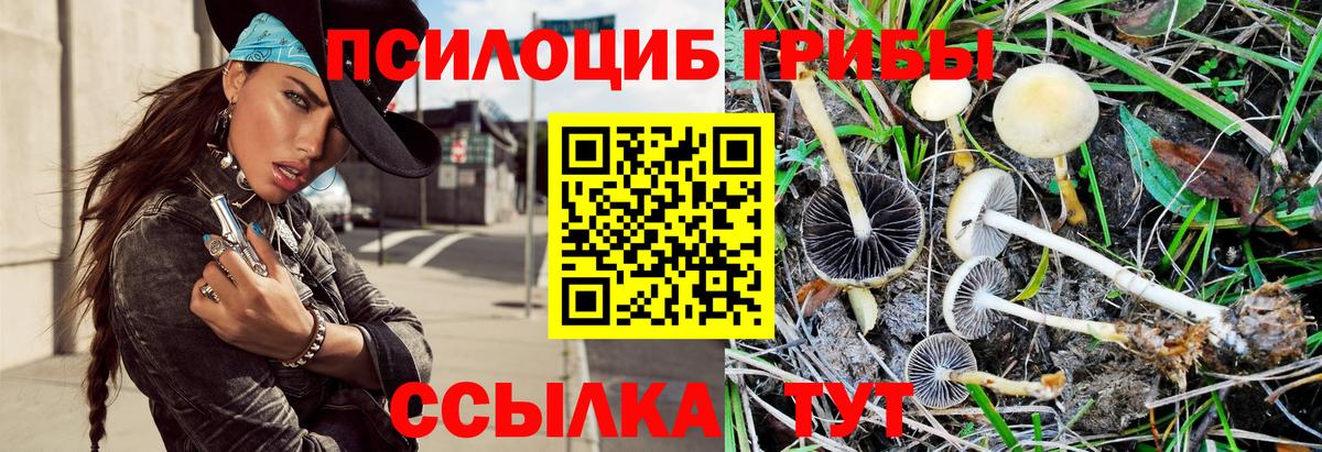Галлюциногенные грибы ЛСД Коркино
