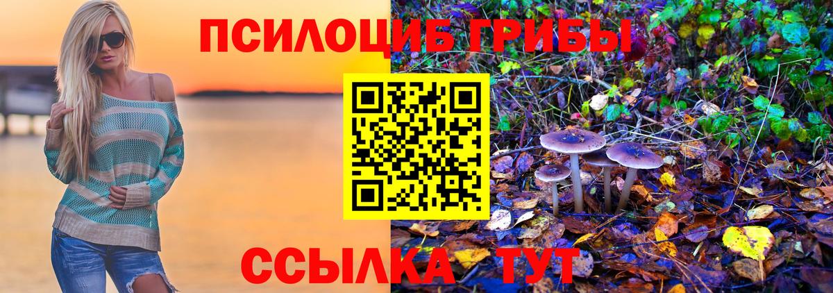 Коркино  Галлюциногенные грибы Psilocybine cubensis  Псилоцибиновые грибы ЛСД  Вход с VPN 